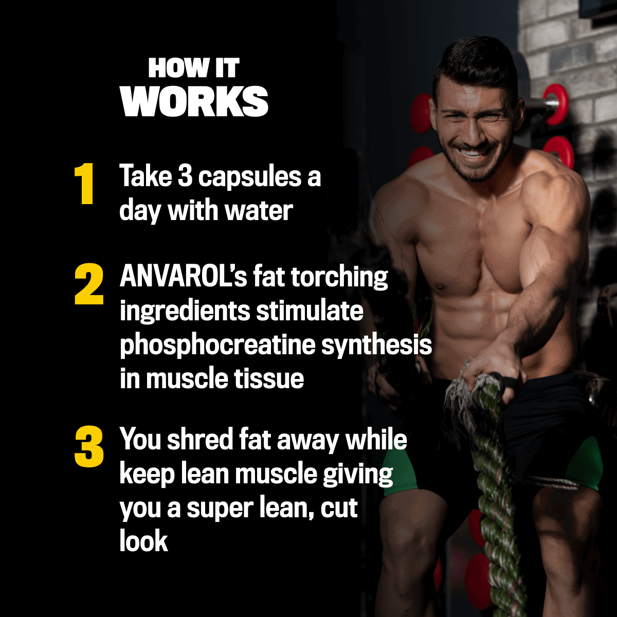 BIRAST ® ANVAROL